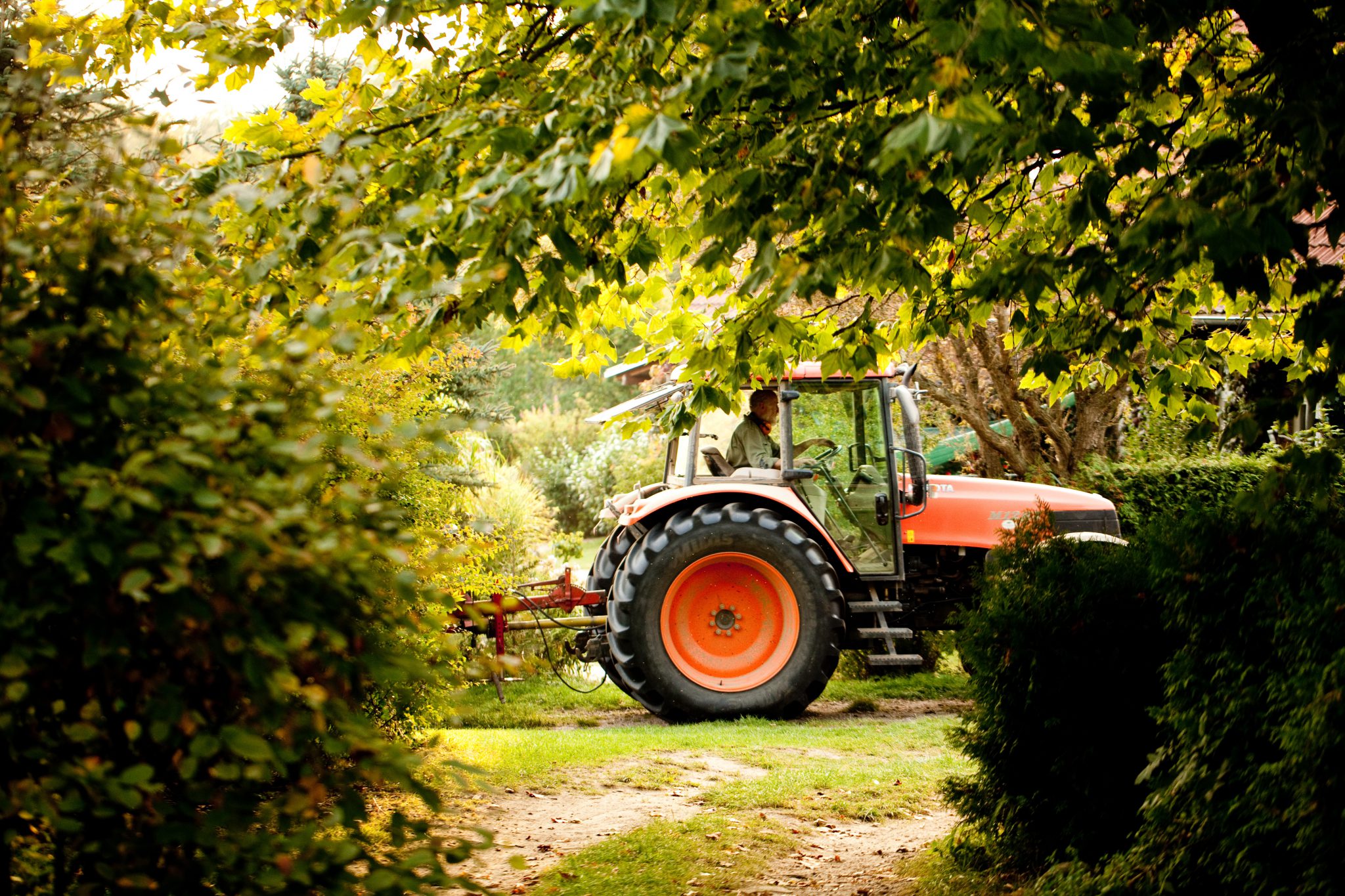 landwirtschaft – Gut Boltenhof - Auf zum Erhol-dich-Gut!